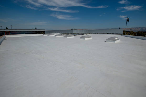 Professional Roofing Service in Hermosa Beach, CA